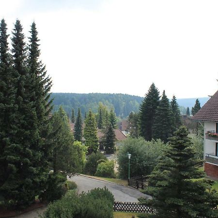 Ferienwohnungen Luebbers Braunlage Zewnętrze zdjęcie